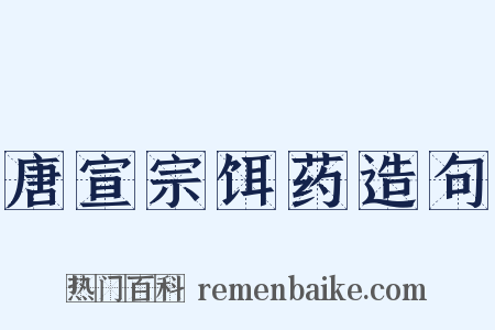 唐宣宗饵药造句是什么意思的图片